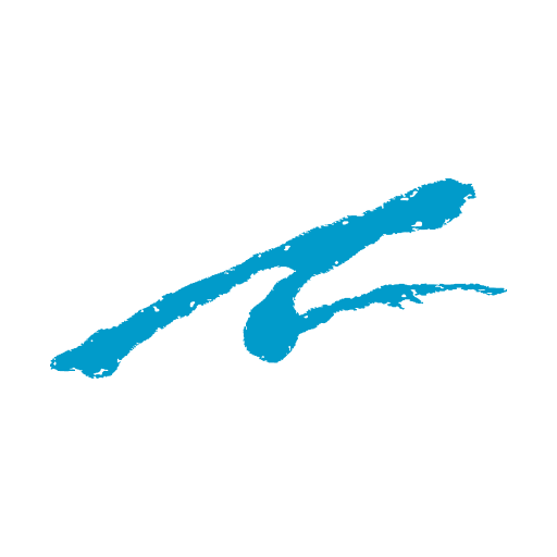 Agassi Sports Entertainment Corp. logo
