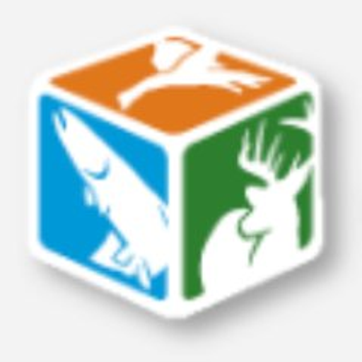 ARVANA INC logo