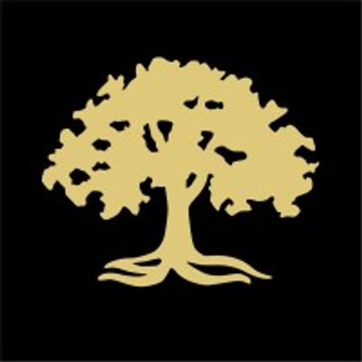 AVALON HOLDINGS CORP logo
