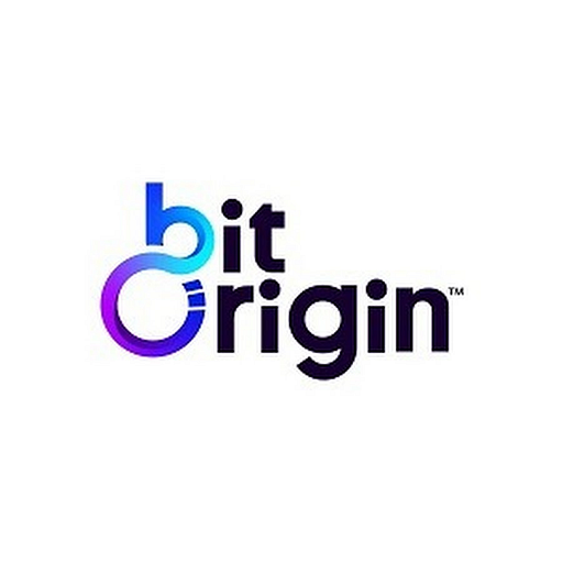 BIT ORIGIN Ltd logo