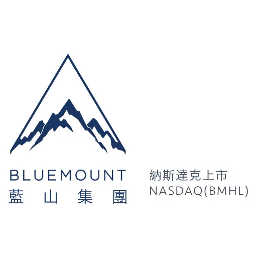 Bluemount Holdings Ltd logo