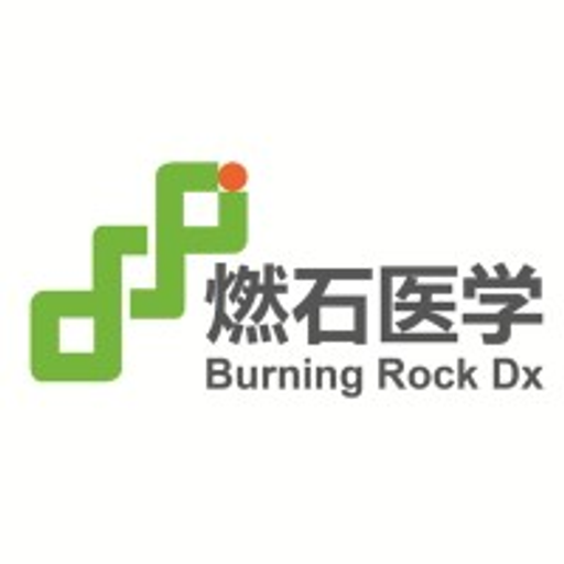 Burning Rock Biotech Ltd logo