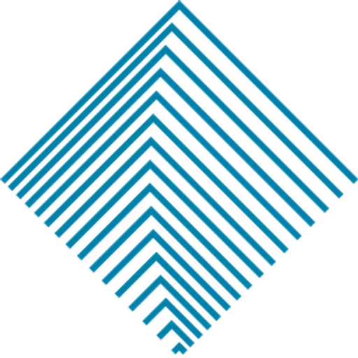 Canton Strategic Holdings, Inc. logo