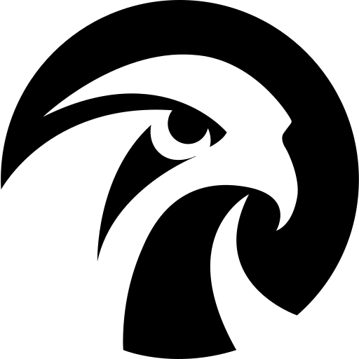 Falcon's Beyond Global, Inc. logo