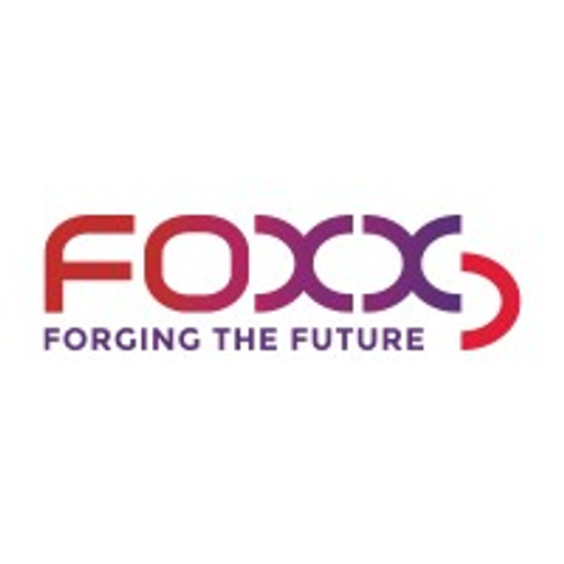 Foxx Development Holdings Inc. logo
