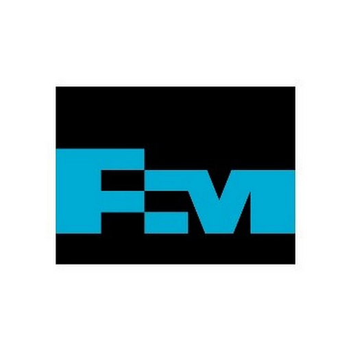 FREEPORT-MCMORAN INC logo
