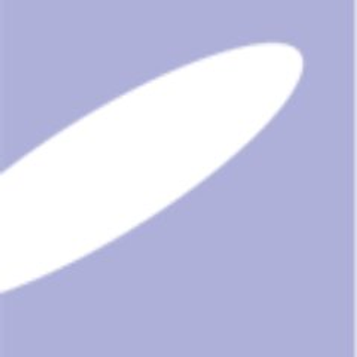 IRADIMED CORP logo