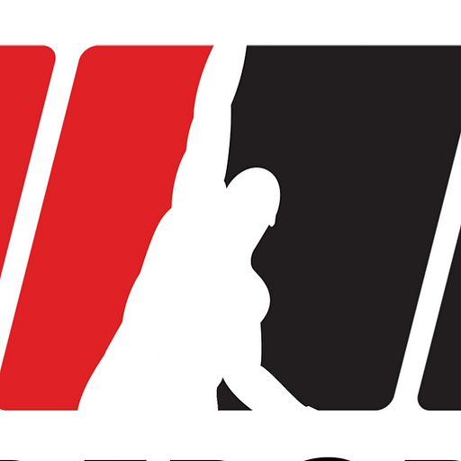 MIXED MARTIAL ARTS GROUP LTD logo
