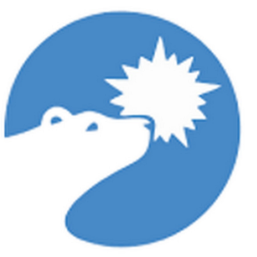Polar Power, Inc. logo