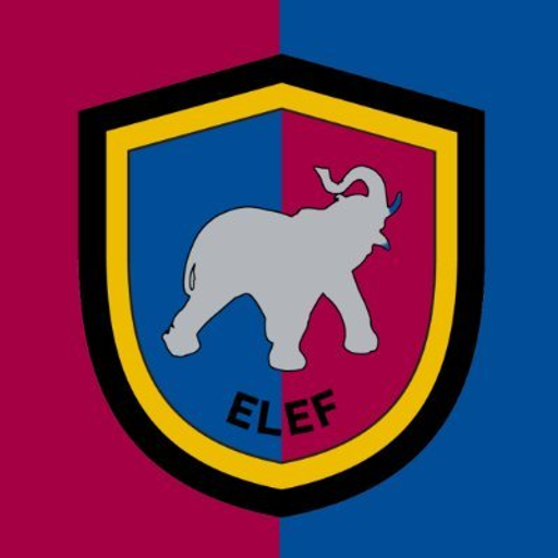Silver Elephant Mining Corp. logo
