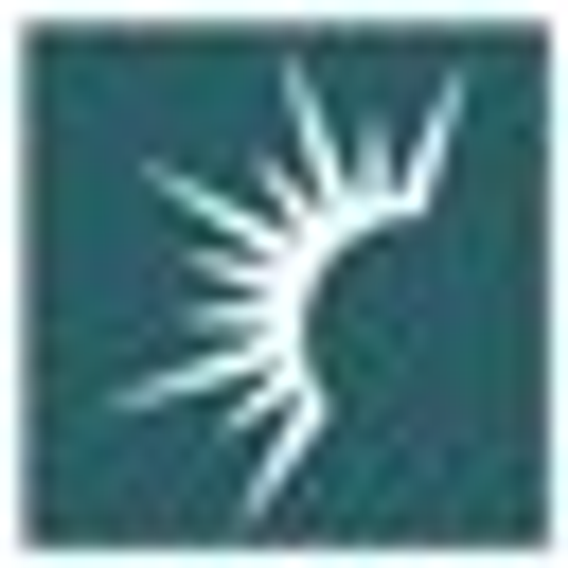 Solaris Energy Infrastructure, Inc. logo