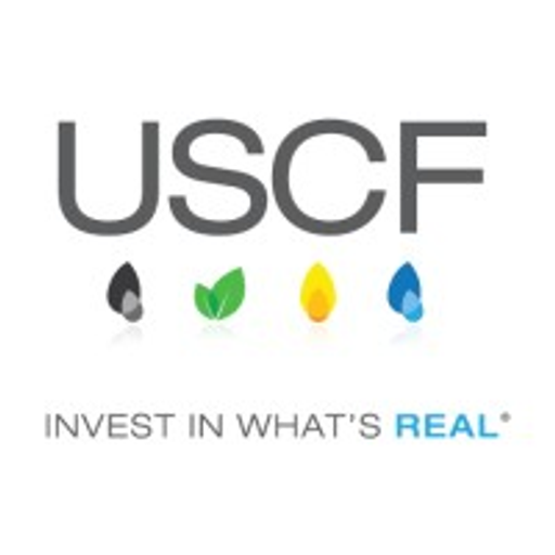 United States 12 Month Natural Gas Fund, LP logo