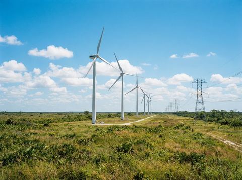Wind turbines and transmission towers standing in a sunlit Florida field, representing utility-scale power generation.
